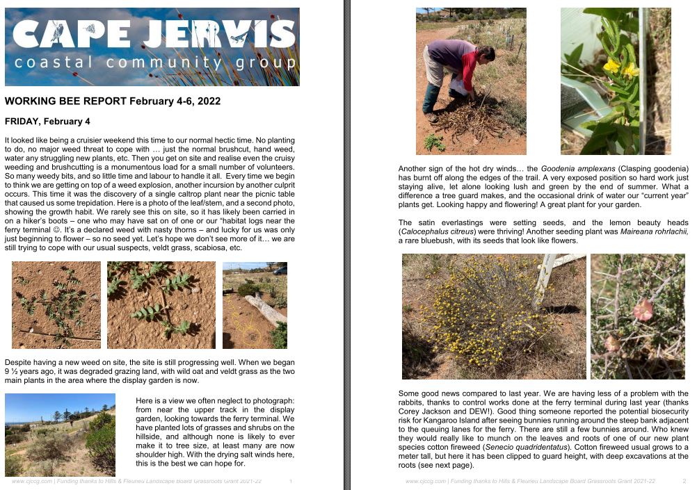 Working Bee Reports | Cape Jervis Coastal Community Group